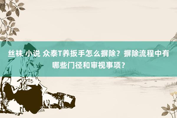 丝袜 小说 众泰T养扳手怎么摒除？摒除流程中有哪些门径和审视事项？